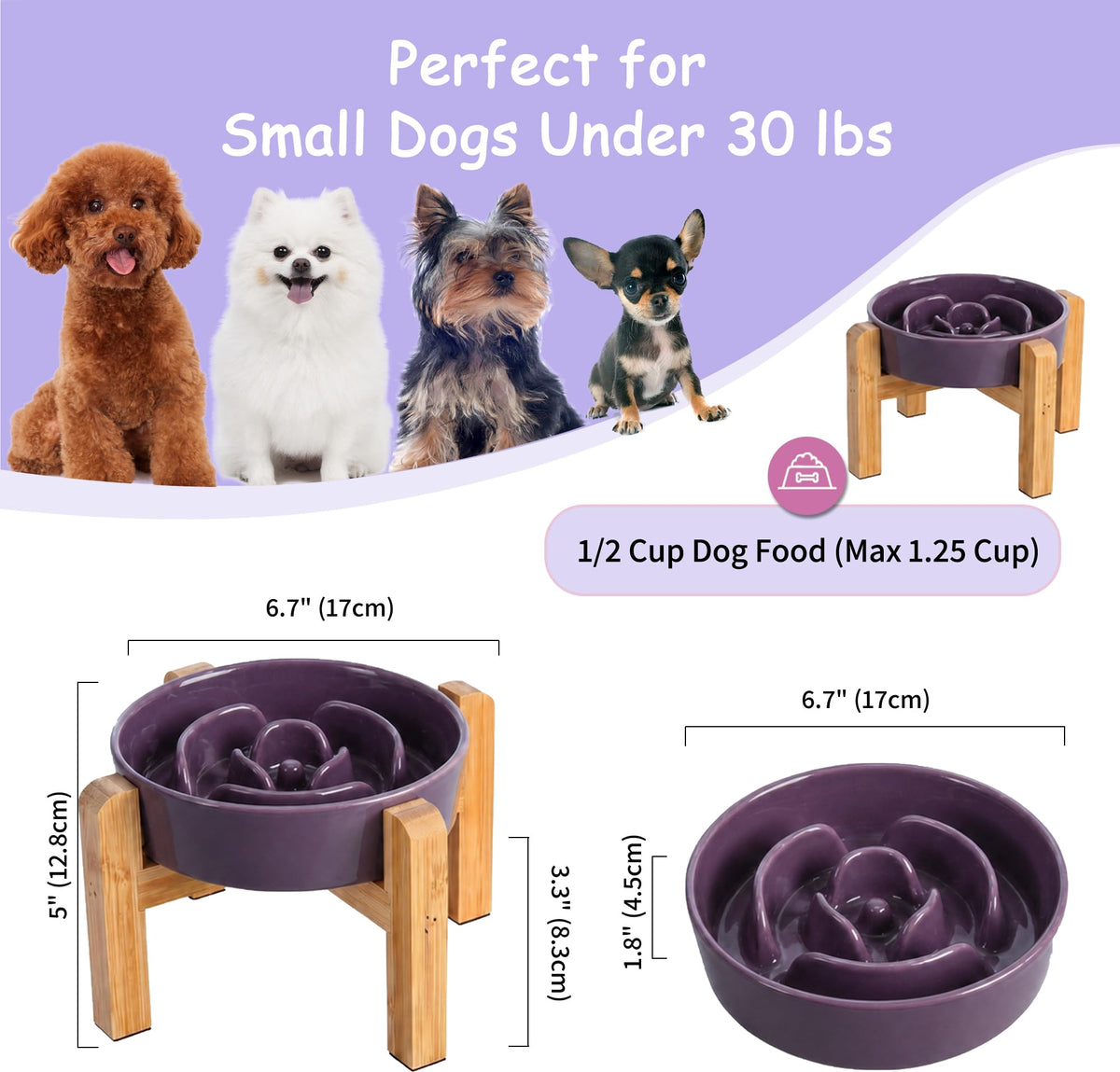 Elevated Slow Feeder Dog Bowl (Purple / 1.5 Cups)