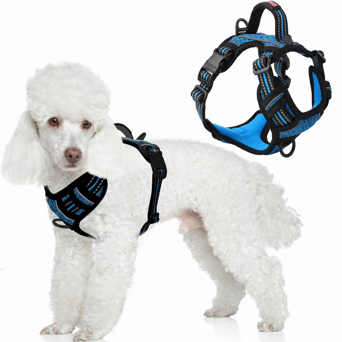 No Pull Dog Harness for Small Sized Dogs (Blue/Black / X-Small(Chest:14.6-19.6”))