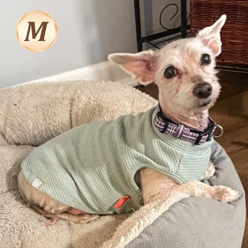 2Pack Waffle Dog Shirt for Small Dogs Striped Dog Sweater Tank Top (Medium (7-11lbs) / 2Pack(Pink+Striped))