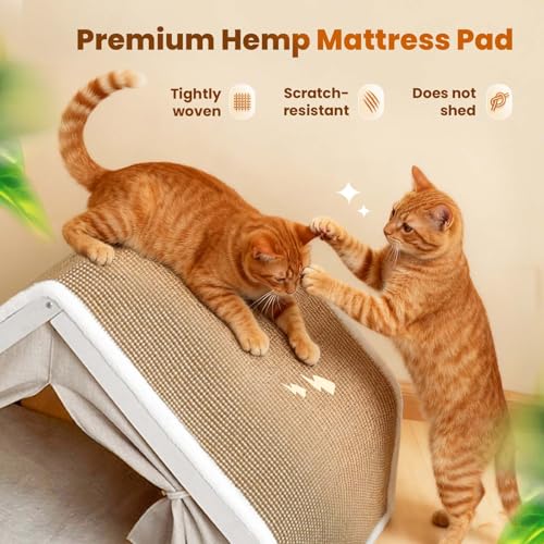 Cat Houses for Indoor Cats (19.7*15.7*15.7"/Sharp Roof (M))