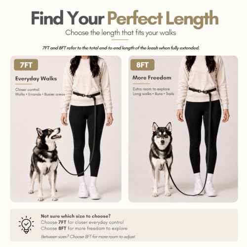 Hands Free Waterproof Dog Leash (Blue / 8 FT)