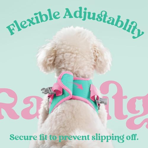 Dog Harness Small Sized and Leash Set (Teal & Pink / S (Chest: 15.1"-16.5"))