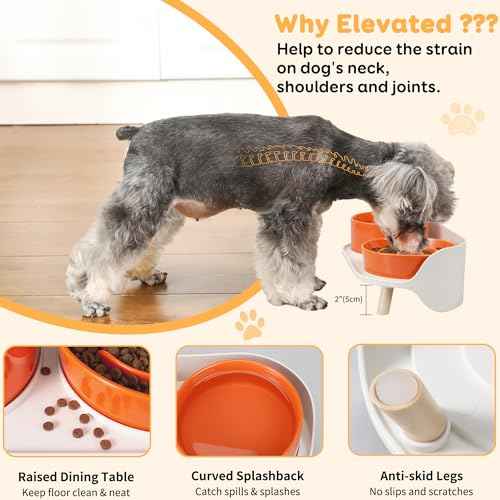 Elevated Slow Feeder Dog Bowls with Splash Proof Stand (Medium / Orange)