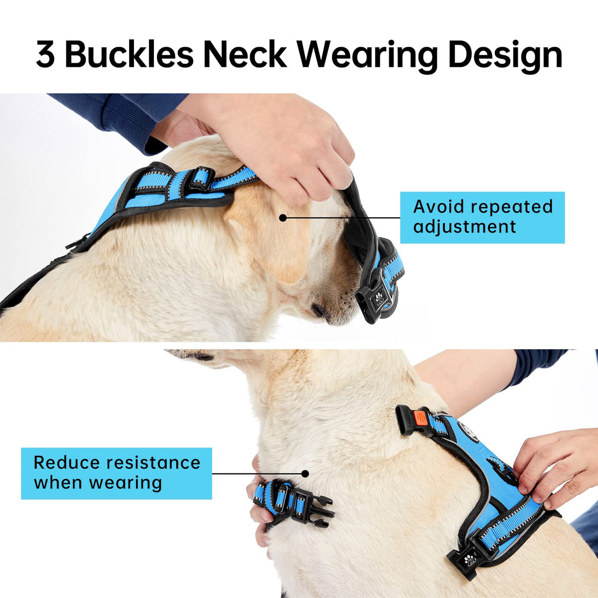 No Pull Dog Harness for Medium Dogs (Blue / Medium)