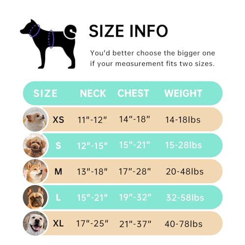 No Pull Dog Harness for Small Dogs (Peacock Blue / Small)