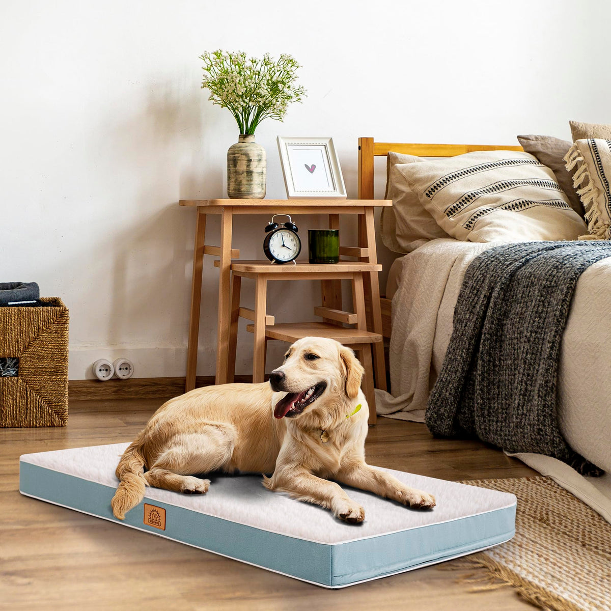 Washable Orthopedic Small Dog Bed (Blue / 24.0"L x 16.0"W x 3.0"Th)