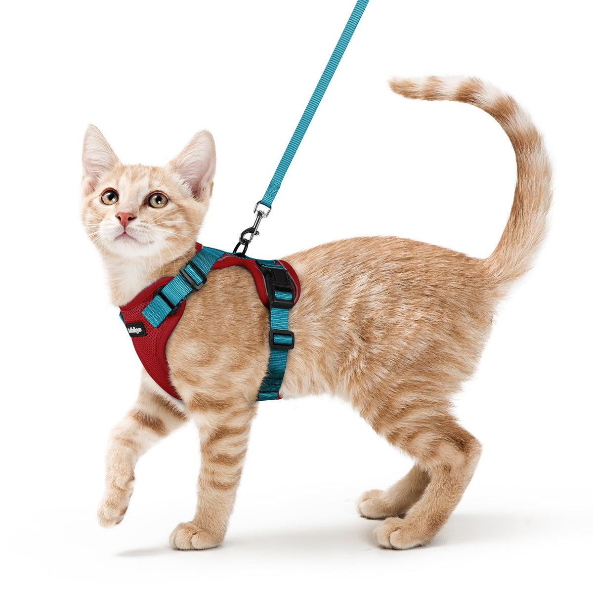 Cat Harness and Leash Set (Xs / Red & Teal)