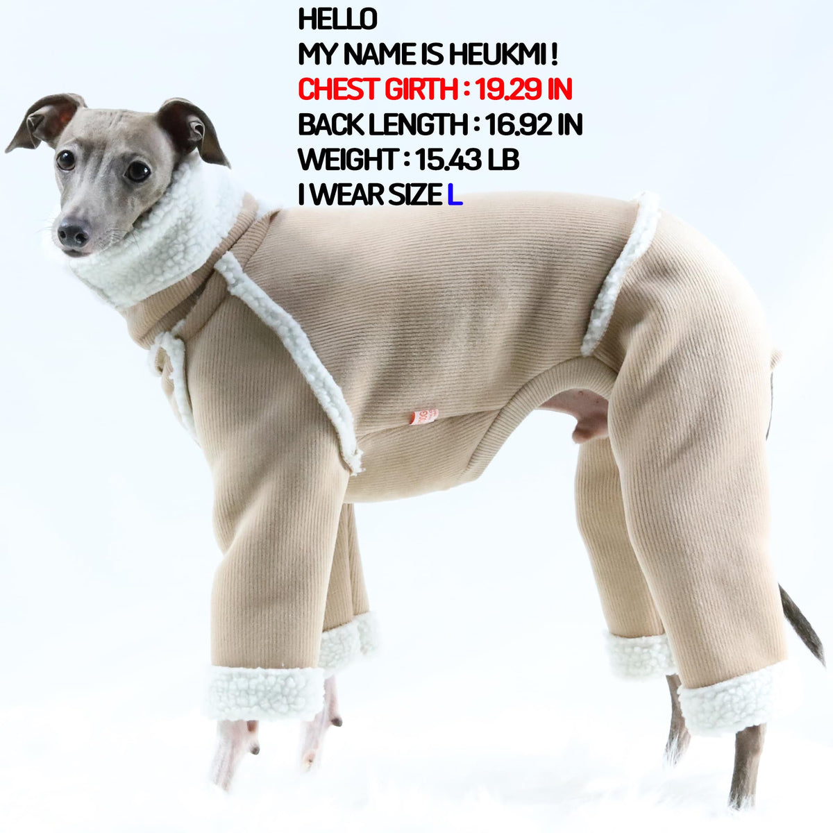 D Doggy Star Italian Greyhound Cold Weather Coat Warm Fleece Corduroy Sweater Turtleneck Onesie Clothes Whippet for Dog (XL / Corduroy Beige)