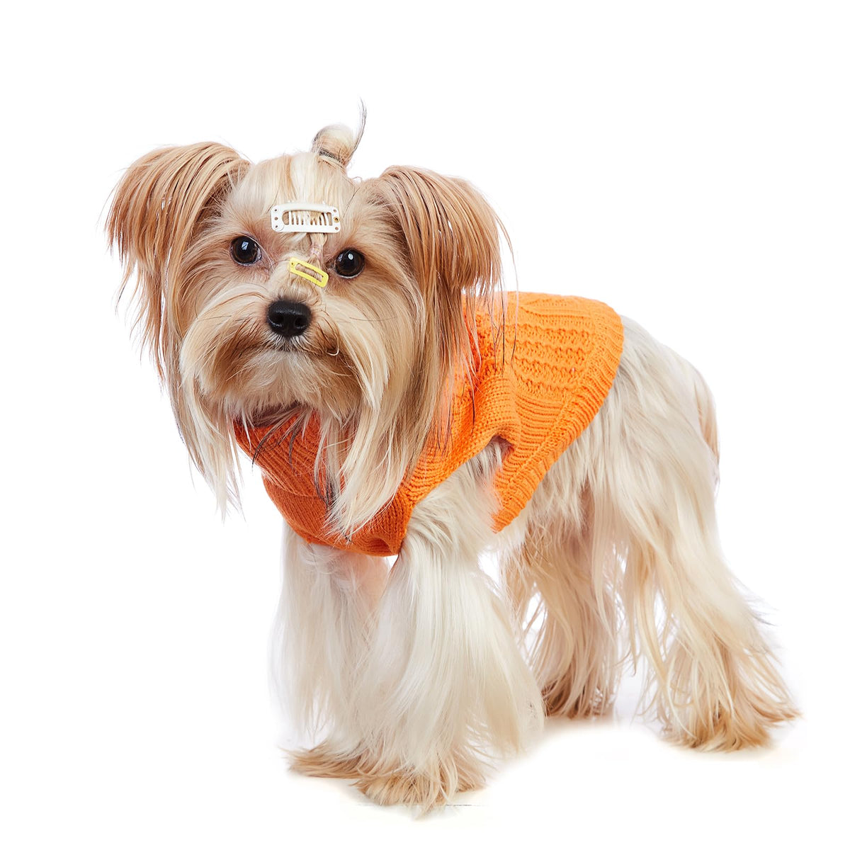 Cat Sweater Stretchy (Orange / Medium)