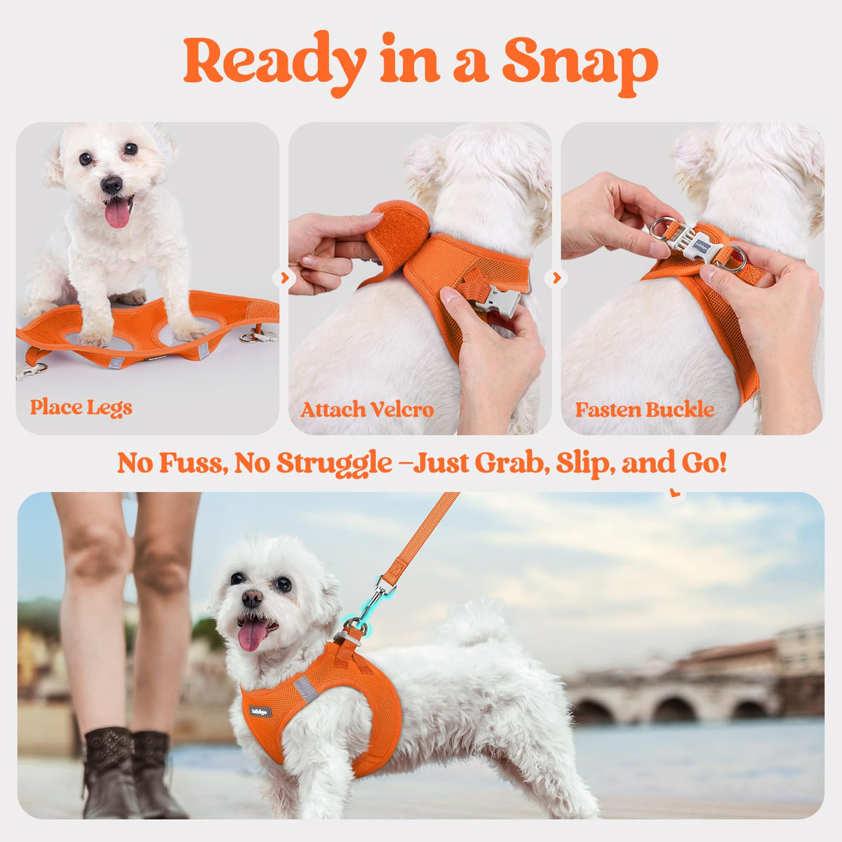 Dog Harness Medium Sized and Leash Set (Orange / L (chest: 18.2 - 20.5"))