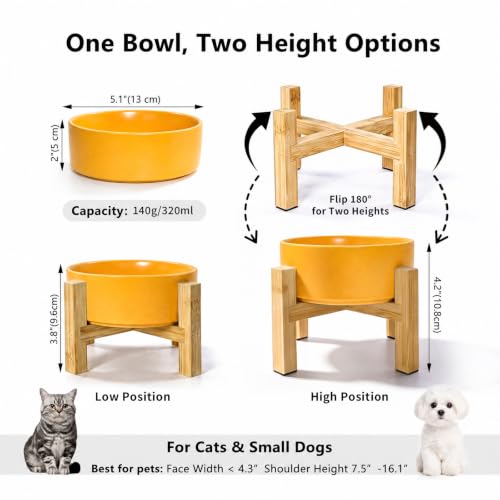 Raised Dog Bowl (Small / Yellow)