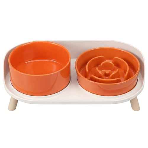 Elevated Slow Feeder Dog Bowls with Splash Proof Stand (Medium / Orange)