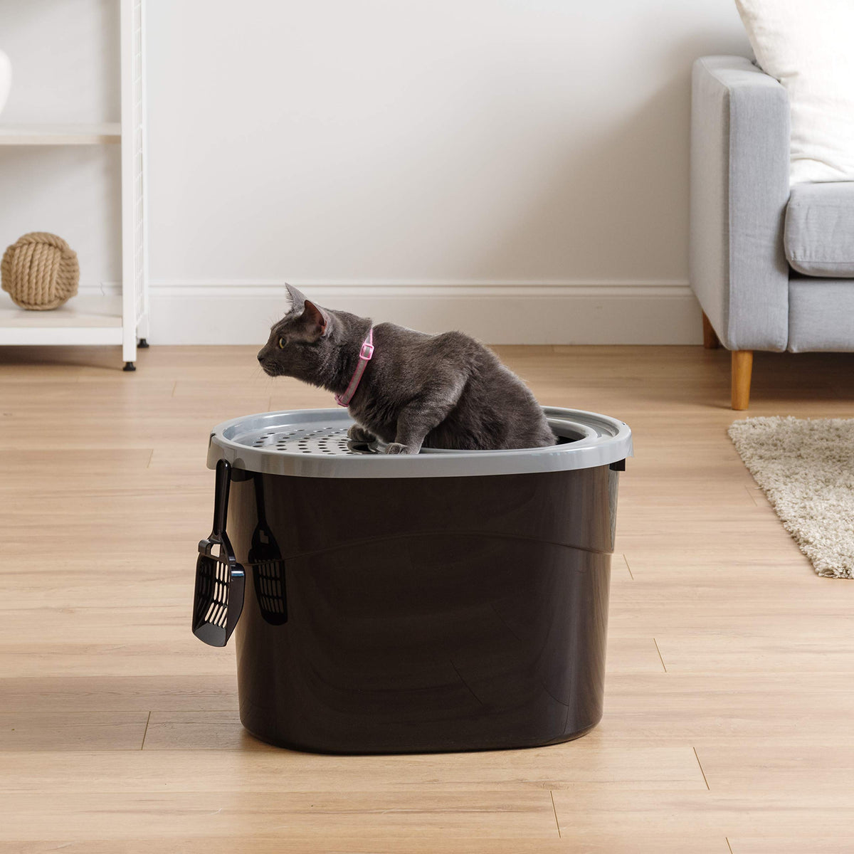 Top Entry Cat Litter Box (Oval / Black w/ Scoop)