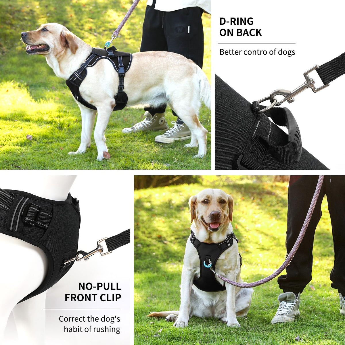 Dog Lift Harness (Black-2 / X-Large)