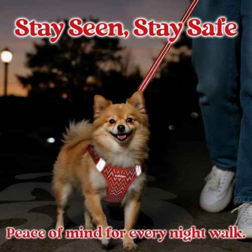 Dog Harness Small Sized and Leash Set (Red Wave / S (Chest: 15.1"-16.5"))