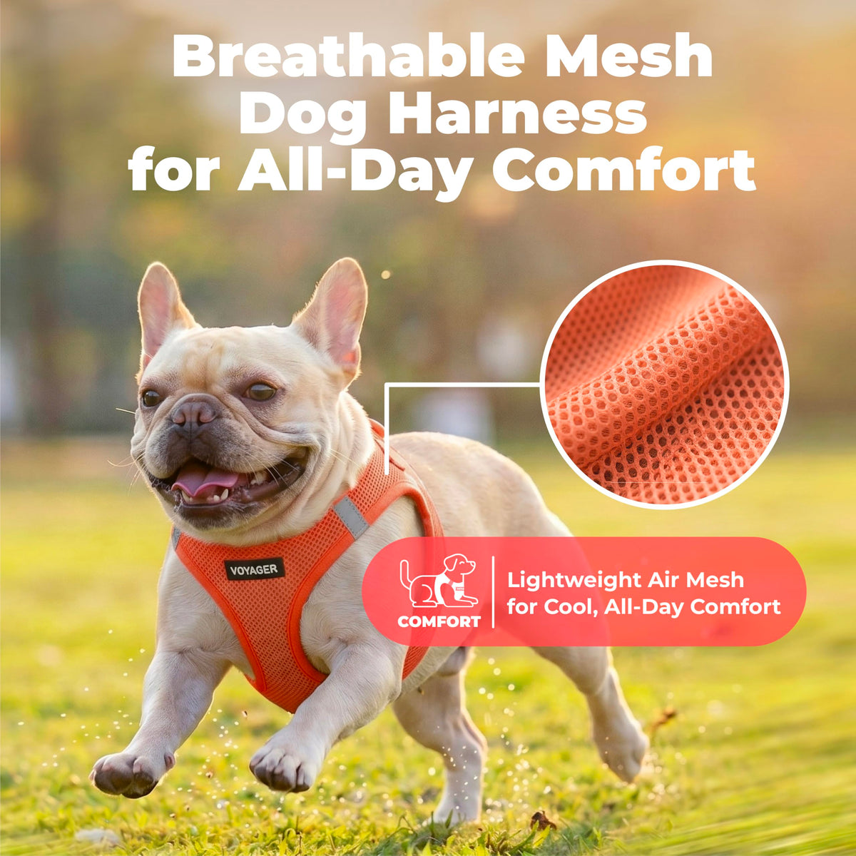 Voyager Step in Air Dog Vest Harness (Orange / XL (Chest: 20.5 - 23"))