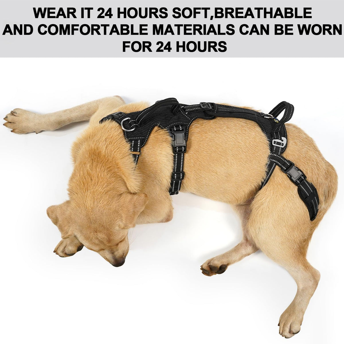 Mobility Dog Lift Harness (Black / L)