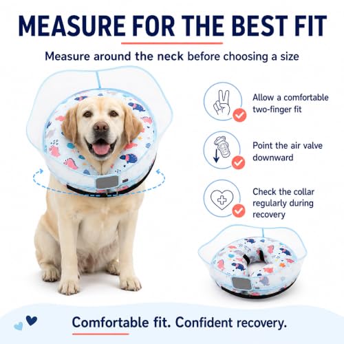 Inflatable Dog Cone Collar for Large Medium Small Dogs (Dinosaur / Medium)