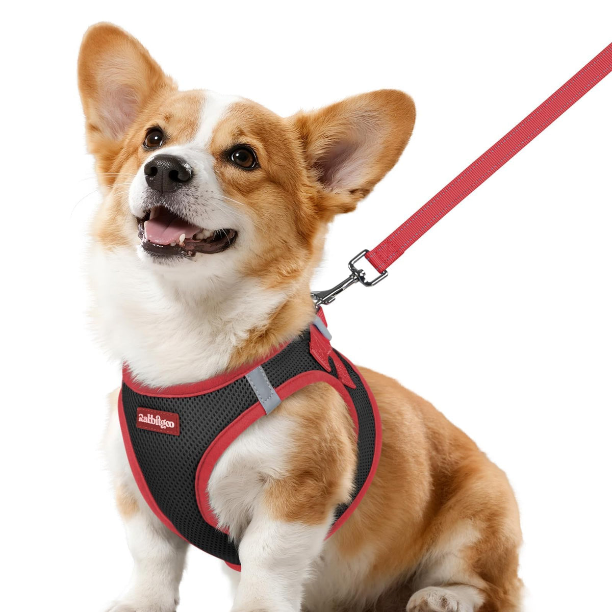 Dog Harness Small Sized and Leash Set (Black & Red / L (Chest: 18.2"-20.5"))