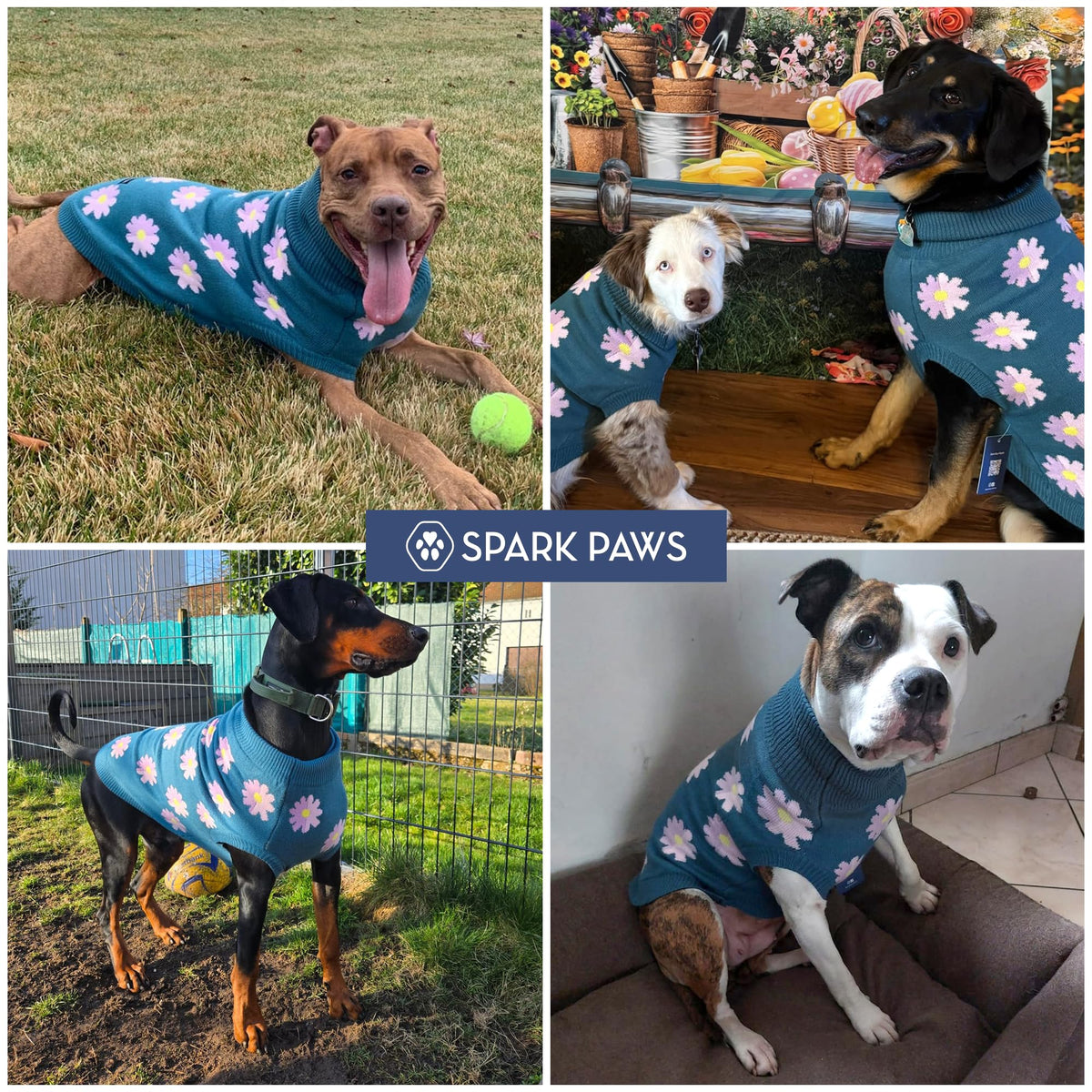 Knit Dog Sweater (Flower / Small)