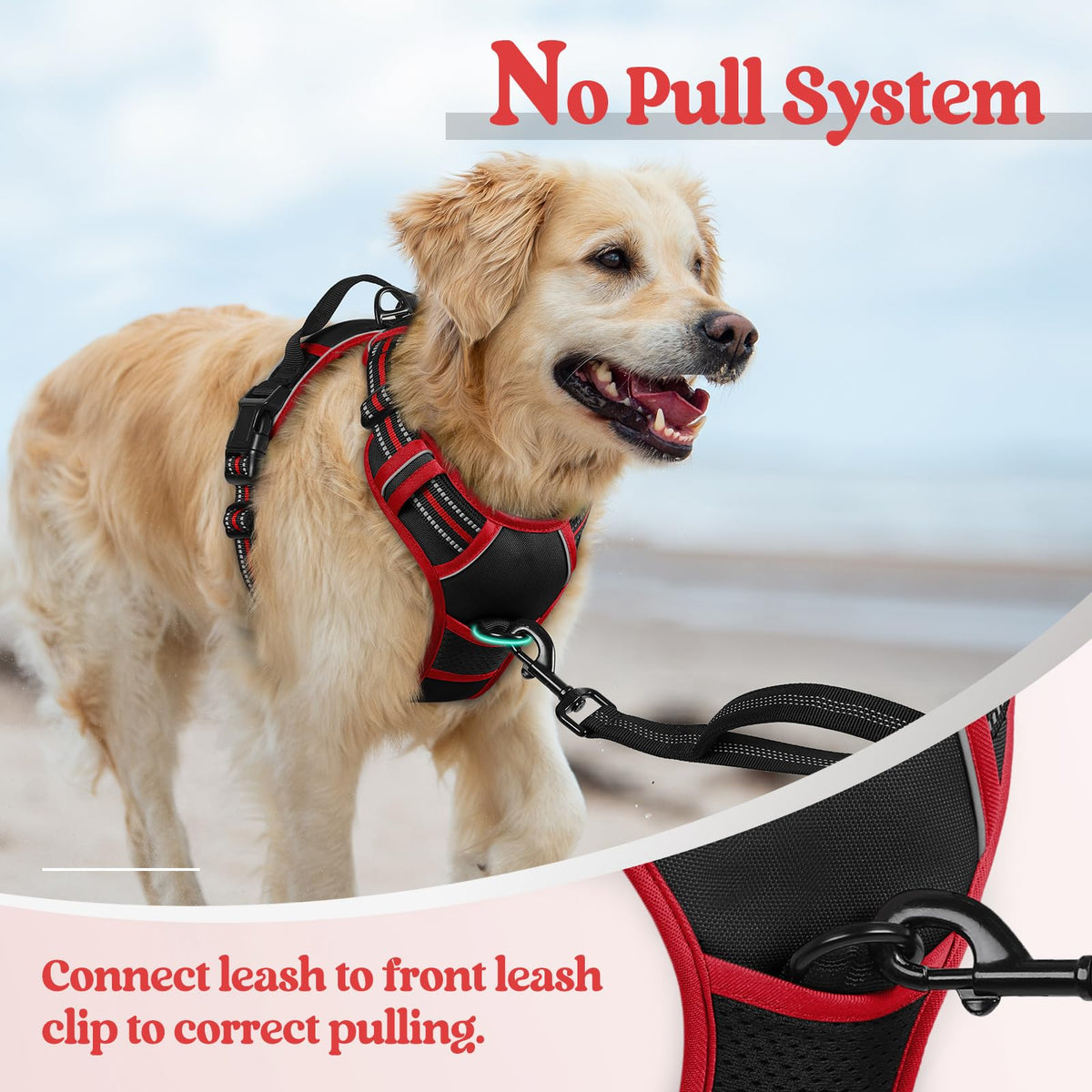Dog Harness No Pull for Small Dogs with 2 Leash Clips (Small / Black & Red)