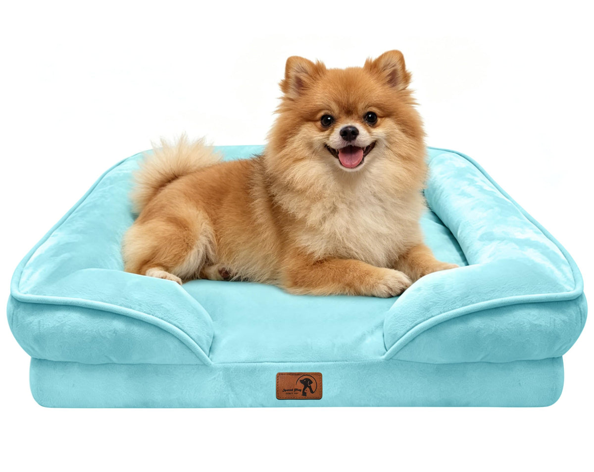 Orthopedic Dog Bed with Sides (24.0"L x 18.0"W x 6.0"Th / Ice Blue)