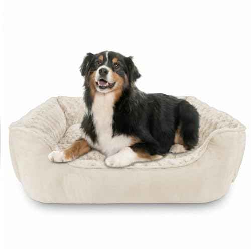 Rectangle Dog Bed for Large Medium Small Dogs (Cream / XL(35"x 25"x 10"))