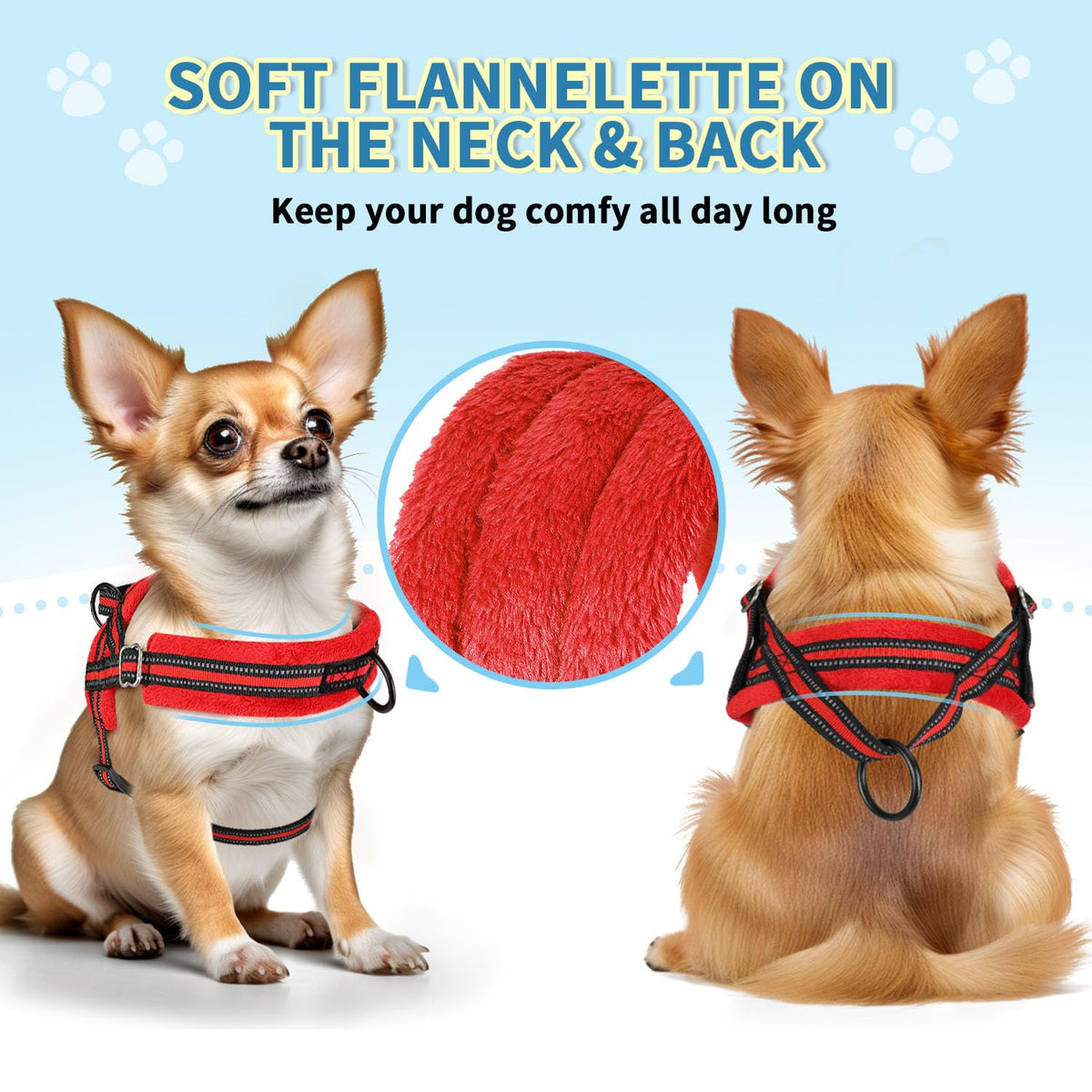 No Pull Small Dog Harness and Leash Set with Front Clip (XX-Small / Red)