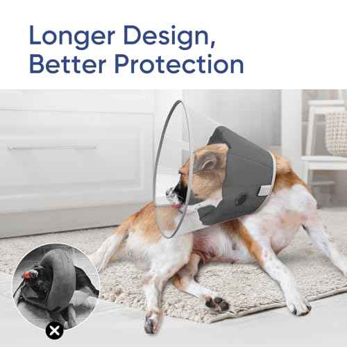 Upgraded Dog Cone with Soft Liner (Black / XL)