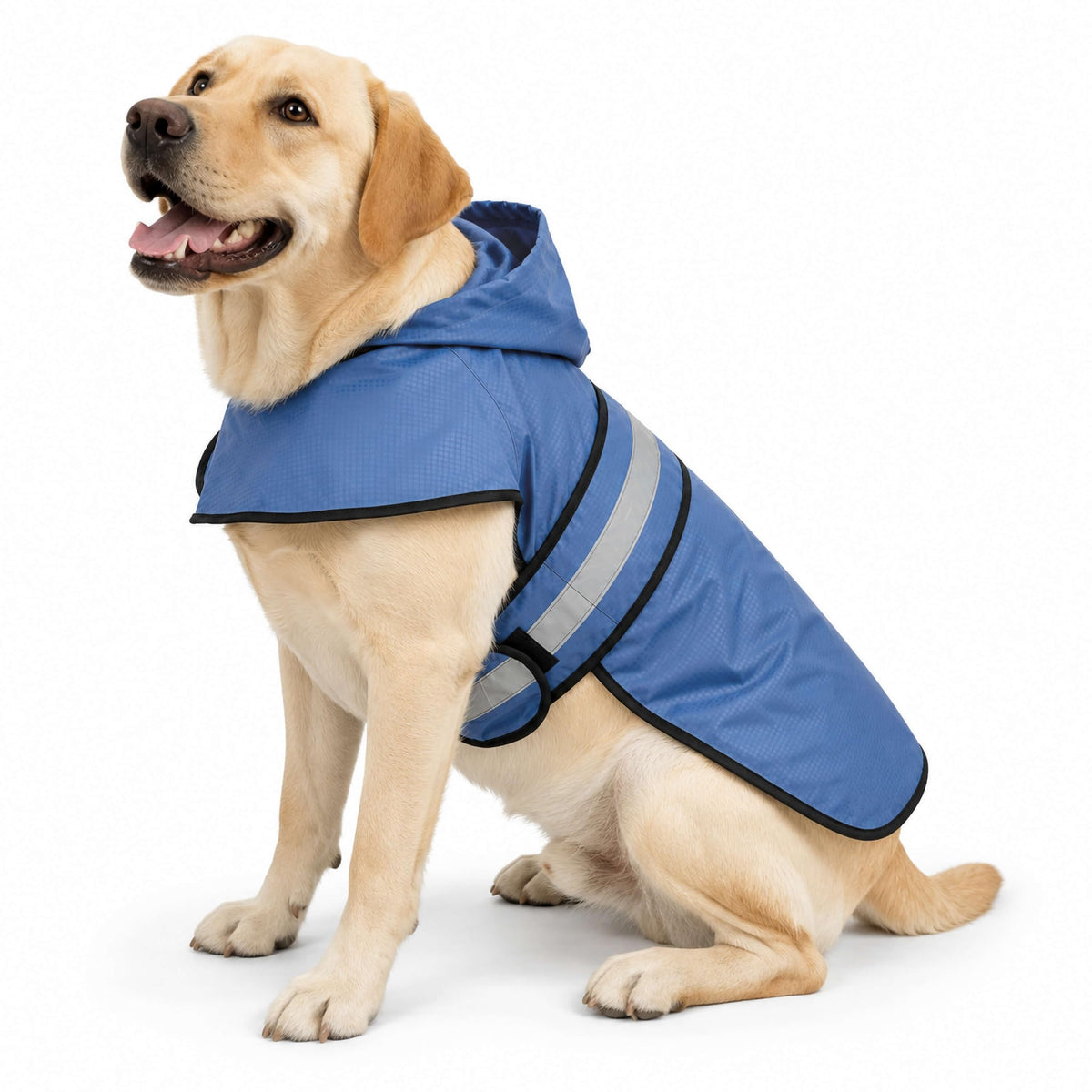 Dogg Toggs Raincoat (Blue / Large)