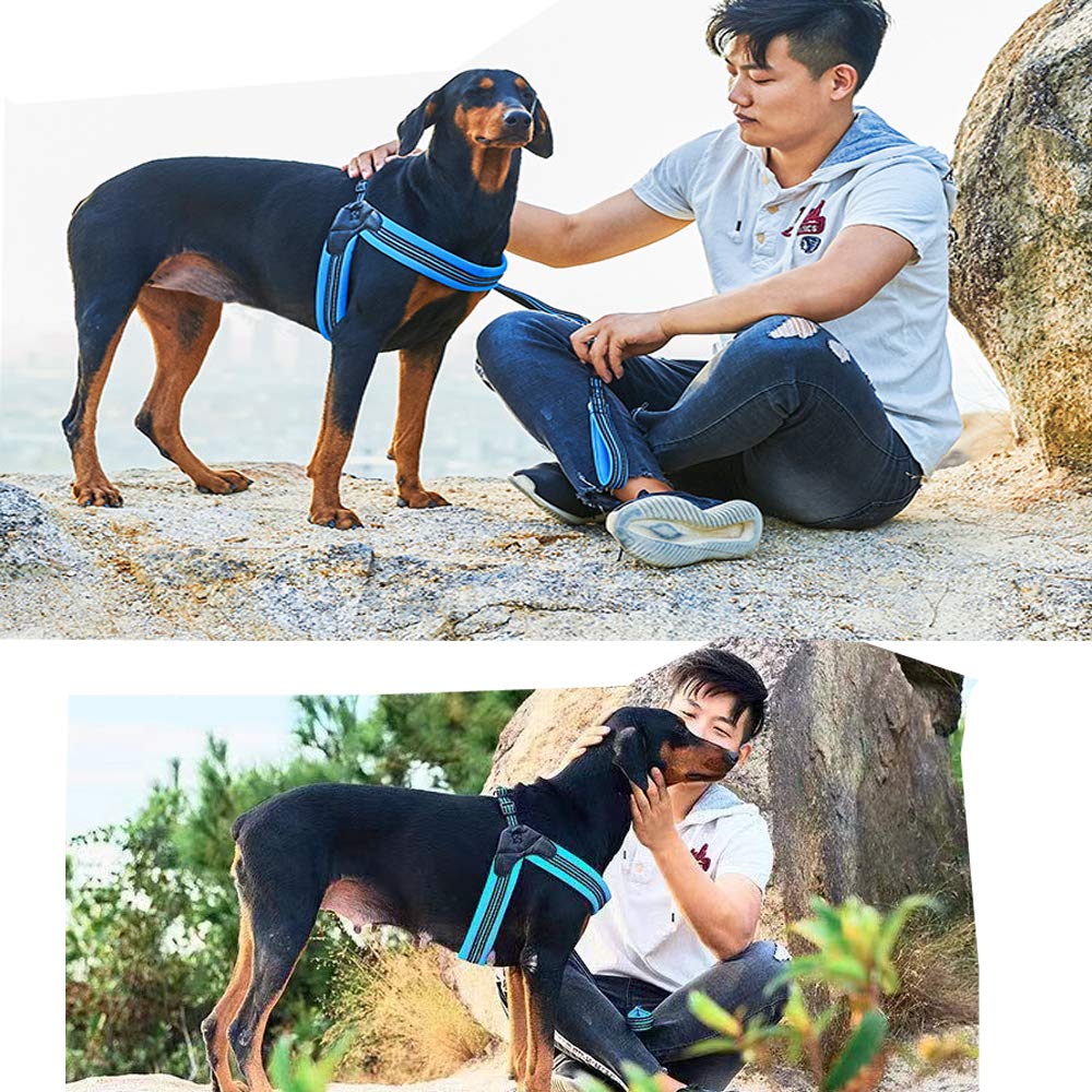 Dog Harness No Pull Ultra Soft Breathable Padded Pet Harness 2 Adjustable Botton (Black / L)