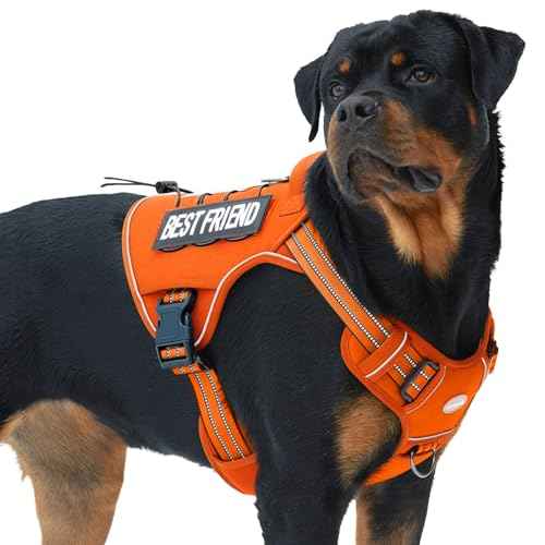 Tactical Dog Harness for Large Dogs (Orange / XL(Neck:20-31",Chest:26-42"),75-135 lbs)