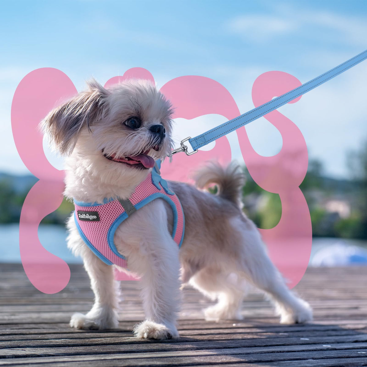 Dog Harness Small Sized and Leash Set (Pink & Blue / S (Chest: 15.1"-16.5"))