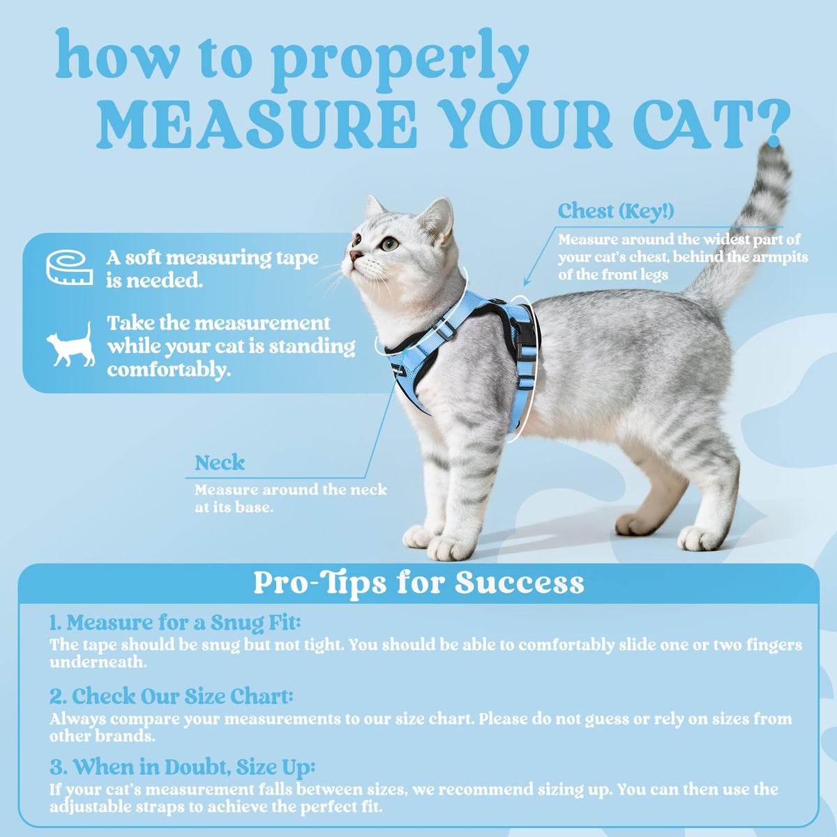 Cat Harness and Leash Set (Xs / Light Blue)