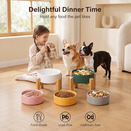 Raised Dog Bowl (Medium-2 / White)