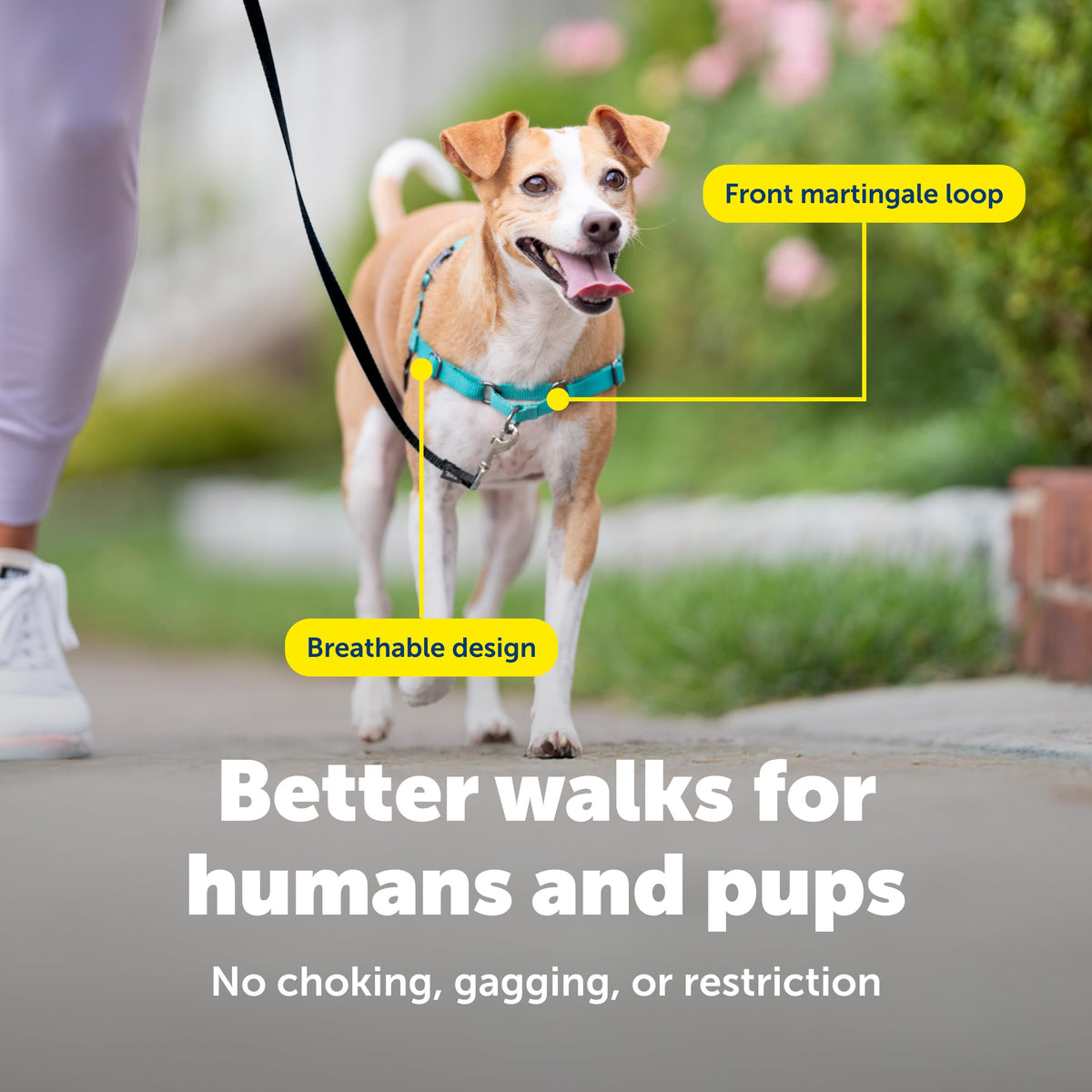 Easy Walk Harness (Small / Teal/Gray)