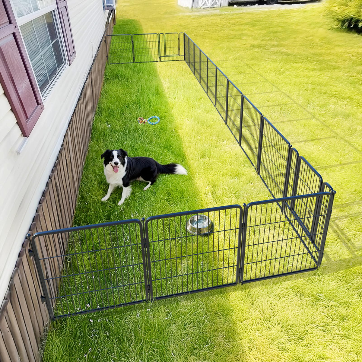 Rollick Dog Playpen with Fence (Black / 32"H)