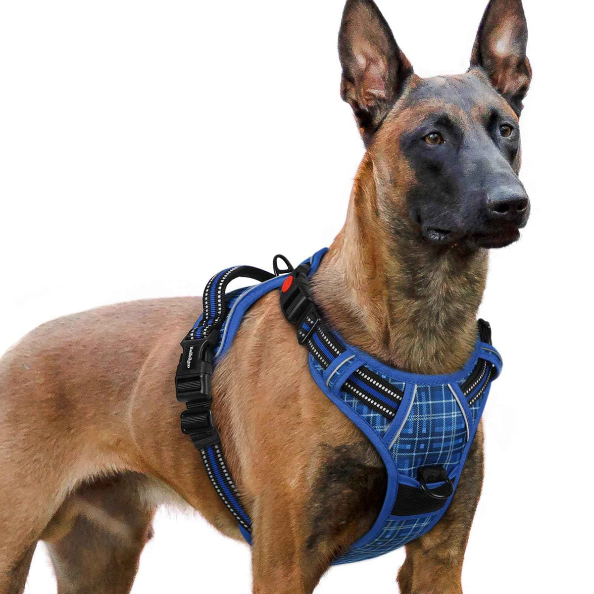 Dog Harness for Large (Blue Plaid / X-large)