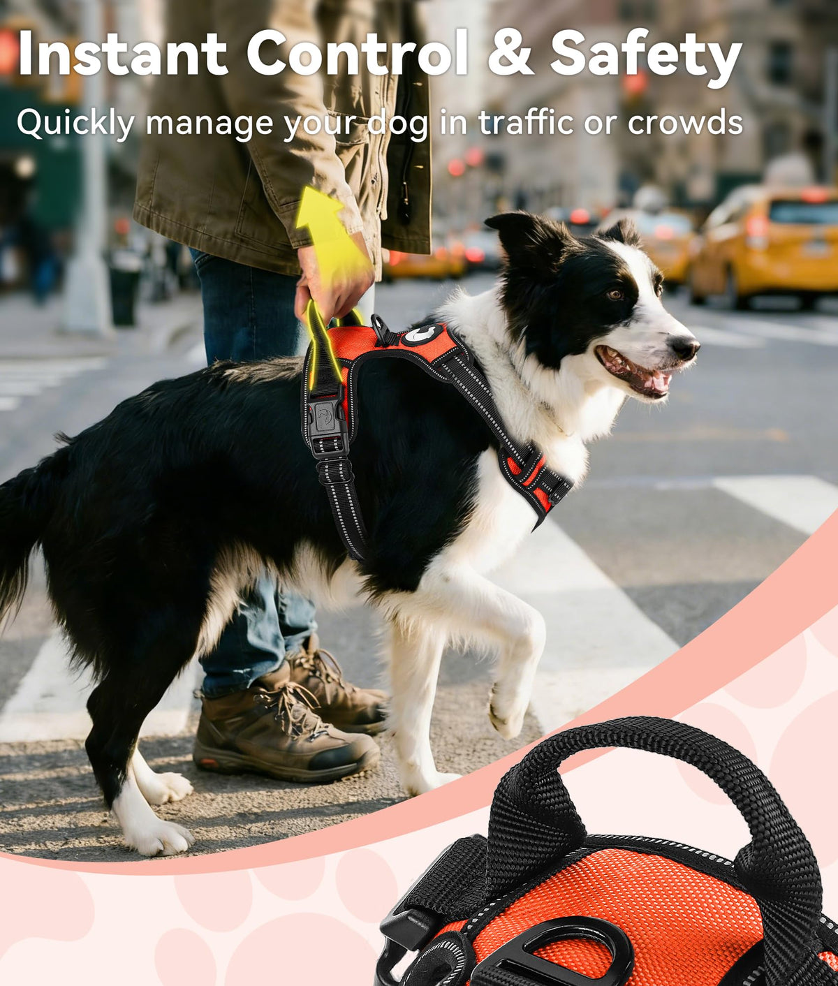 No Pull Dog Harness Medium Sized Dog (Medium / Orange)