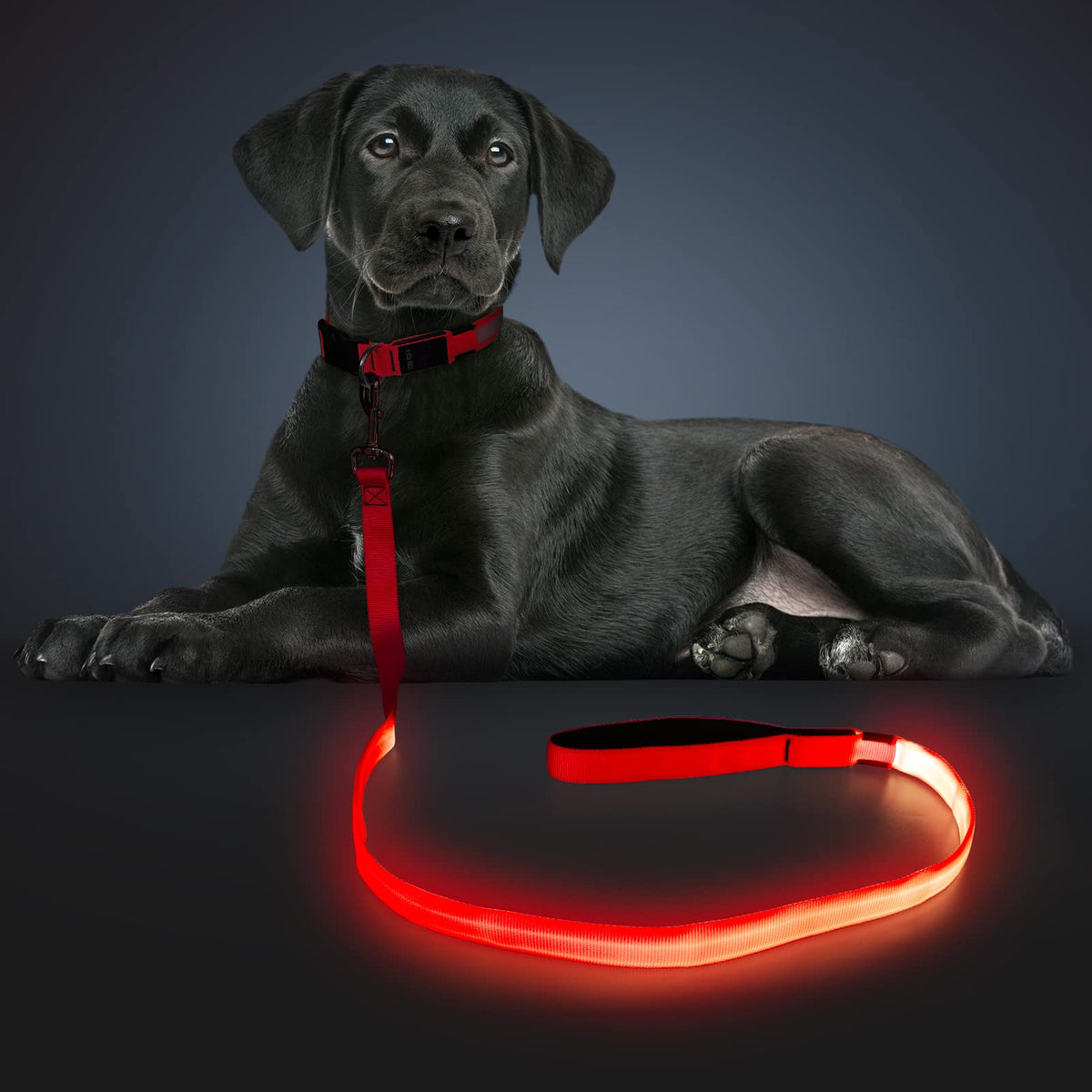 LED Light Up Dog Leash 3 Lighting Modes USB Rechargeable (Red-KX)