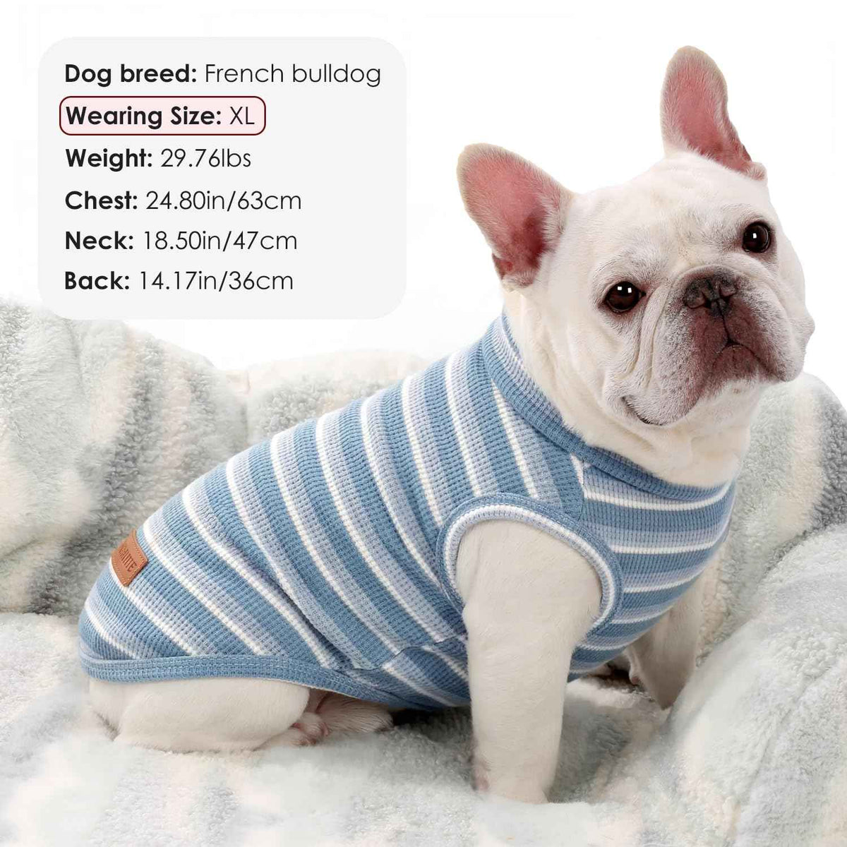 2Pack Dog Shirts Lightweight Waffle Dog Shirt for Small Dogs Sleeveless Dog Shirt for Small Medium Boy Girl Dogs Cozy & Breathable Pet Vest (M(Back: 13.8", Chest: 17.7", 8.8-13.2lbs) / Striped+Iron Blue)