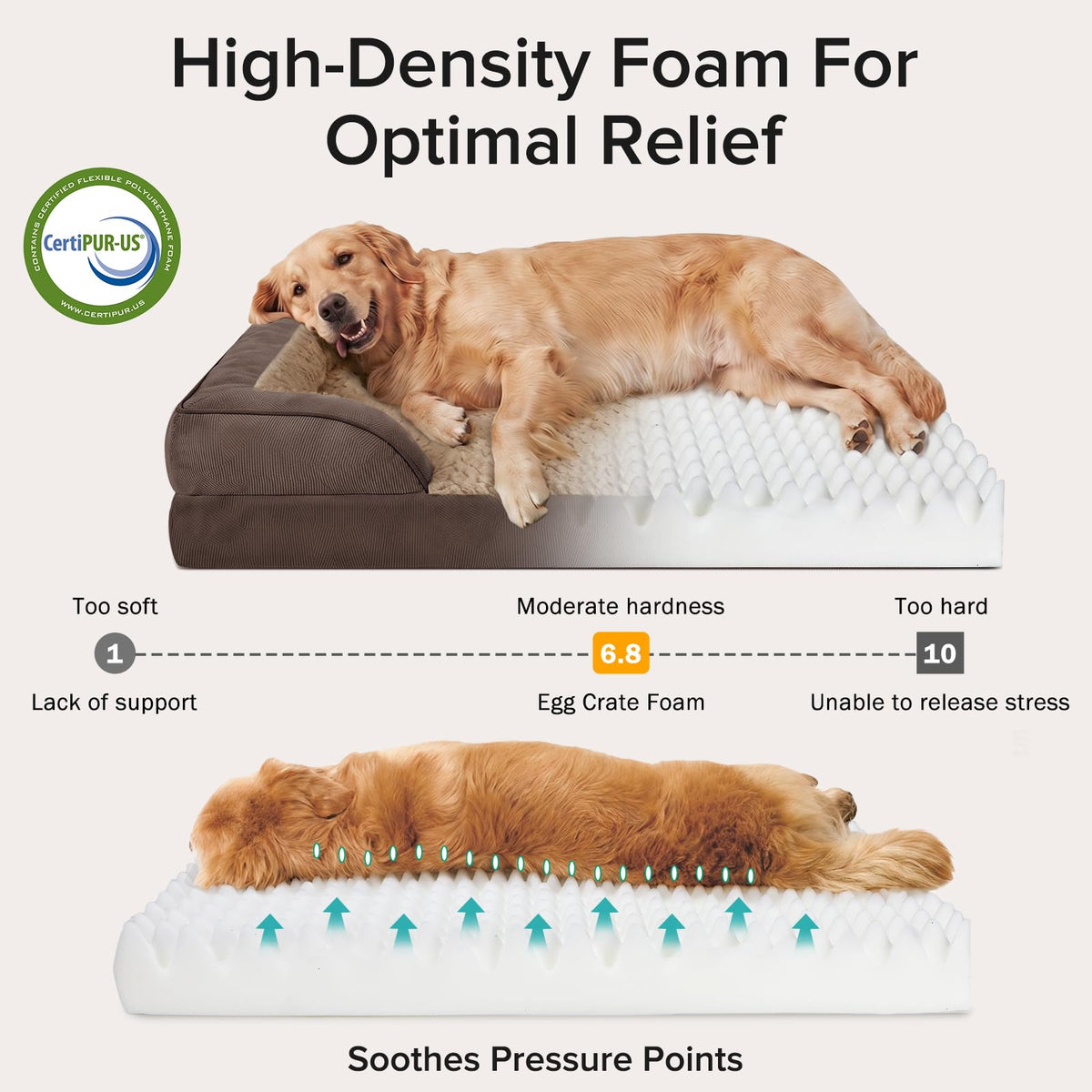 XXL Plus Orthopedic Dog Beds Large Sized (Dark Brown / XXL- PLUS (53"x 42"x 8"))