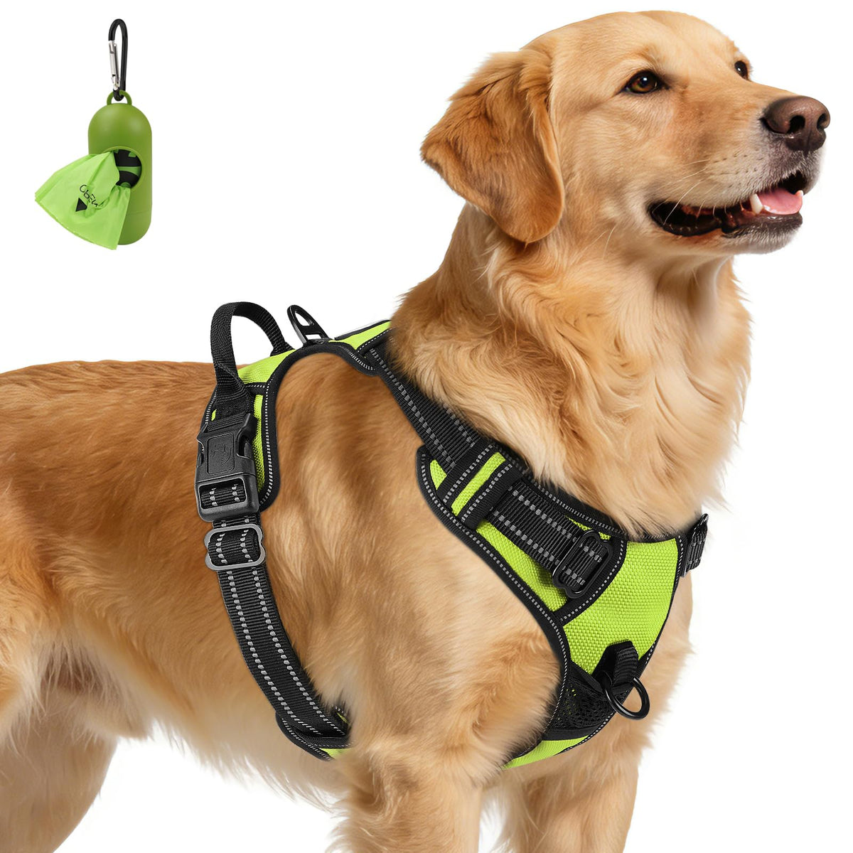 No Pull Dog Harness for Extra Large Dogs (X-Large / Green)