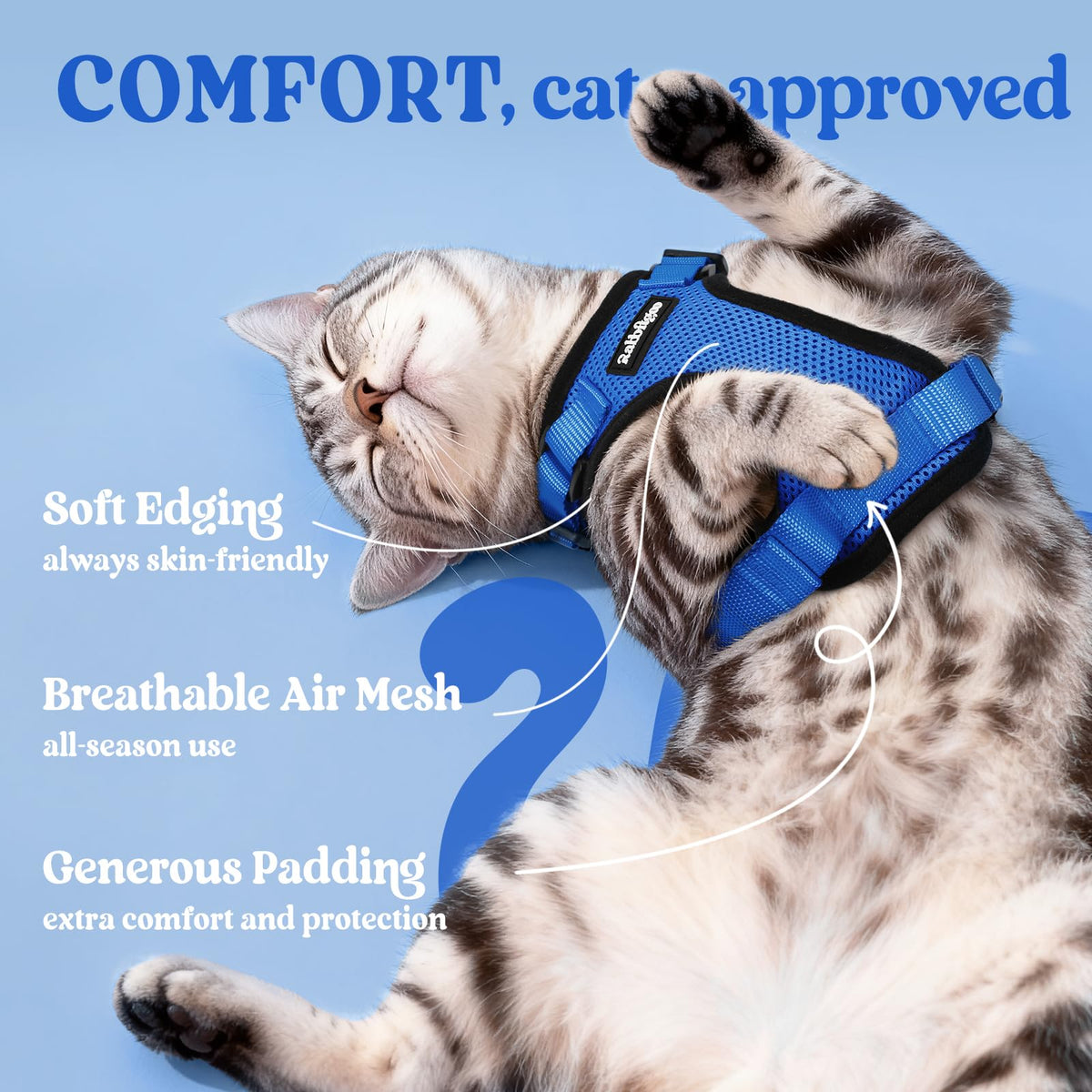 Cat Harness and Leash Set (Xs / Navy Blue)