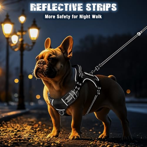 Tactical Dog Harness and Leash Set Small Sized Dog+10 Dog Patches (Small / Black)