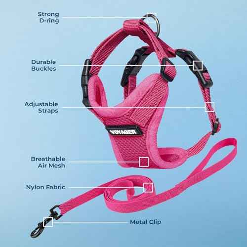 Voyager Step in Lock Cat Harness & Leash Set (Fuchsia / S (Chest: 15 - 18"))