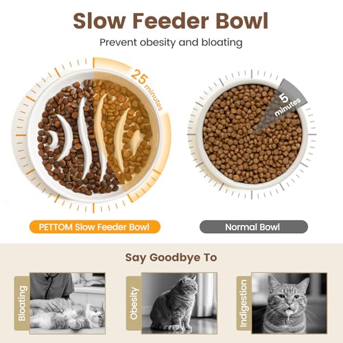 Slow Feeder Cat Bowl Elevated Ceramic with Bamboo Stand (Fishbone)