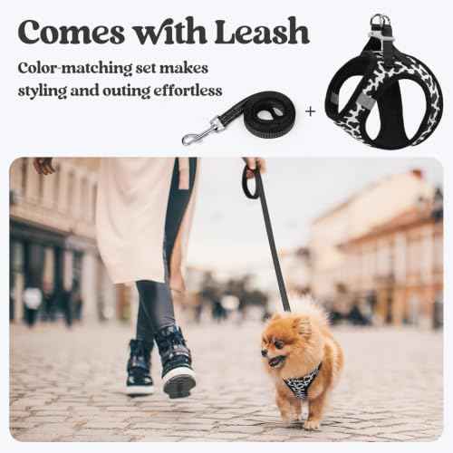 Dog Harness Small Sized and Leash Set (Black White Cow / Xs (chest: 13.3 - 15.5"))