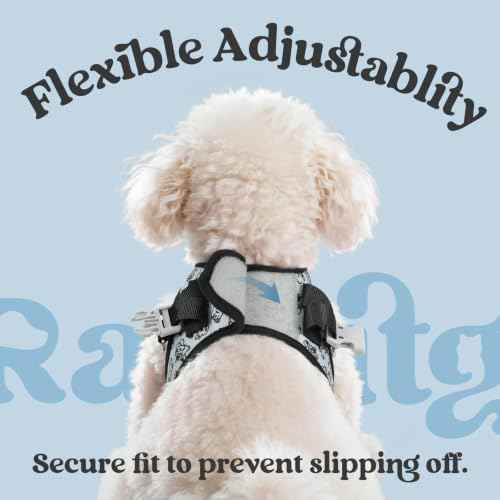 Dog Harness Small Sized and Leash Set (Grey Pups / XS (Chest: 13.3"-15.5"))