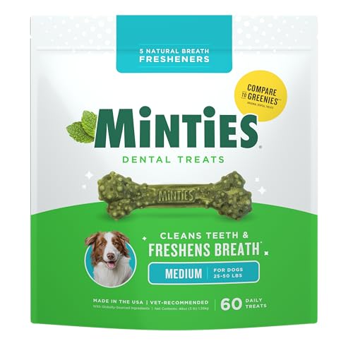 Mint Dental Chews for Dogs (Medium Dogs - 48oz)